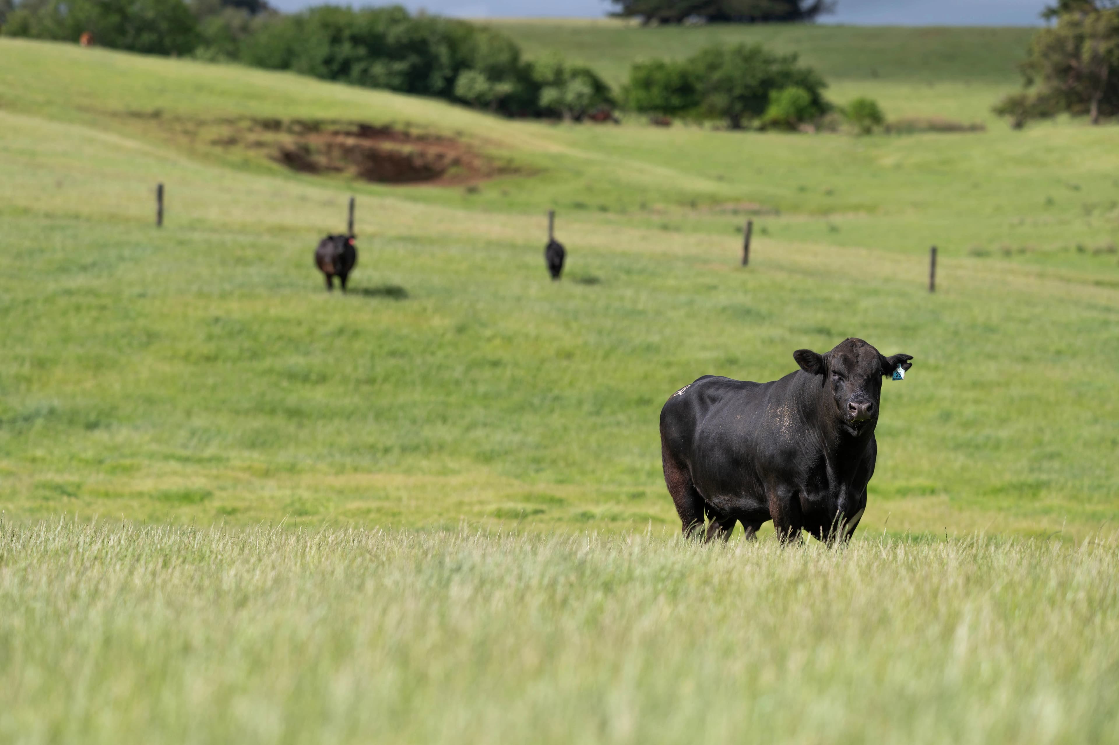 Getting landowners the most out of their farm bill benefits