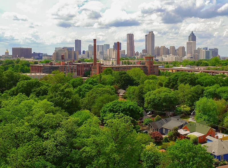 Keep urban water clean and power bills down with new forests